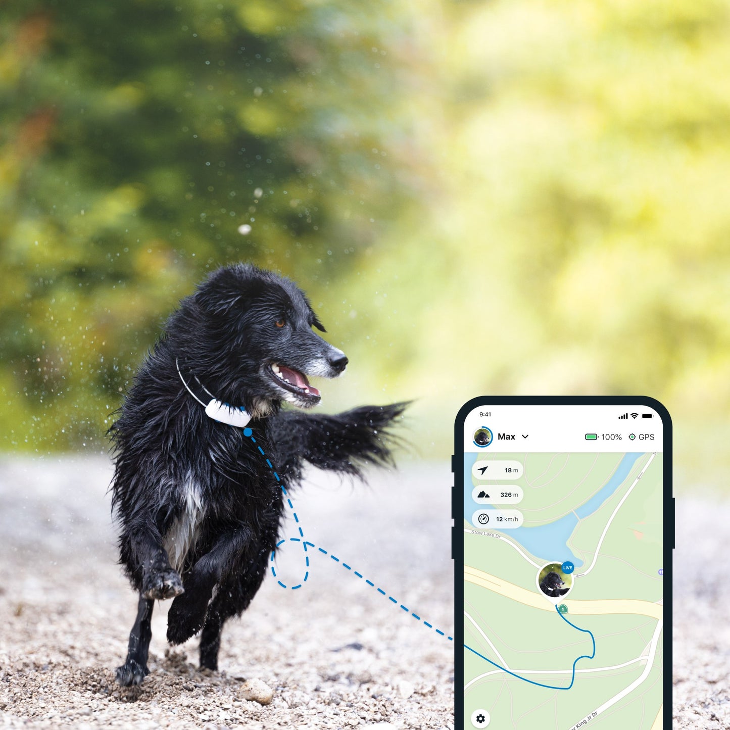 Tractive GPS DOG 4 - white