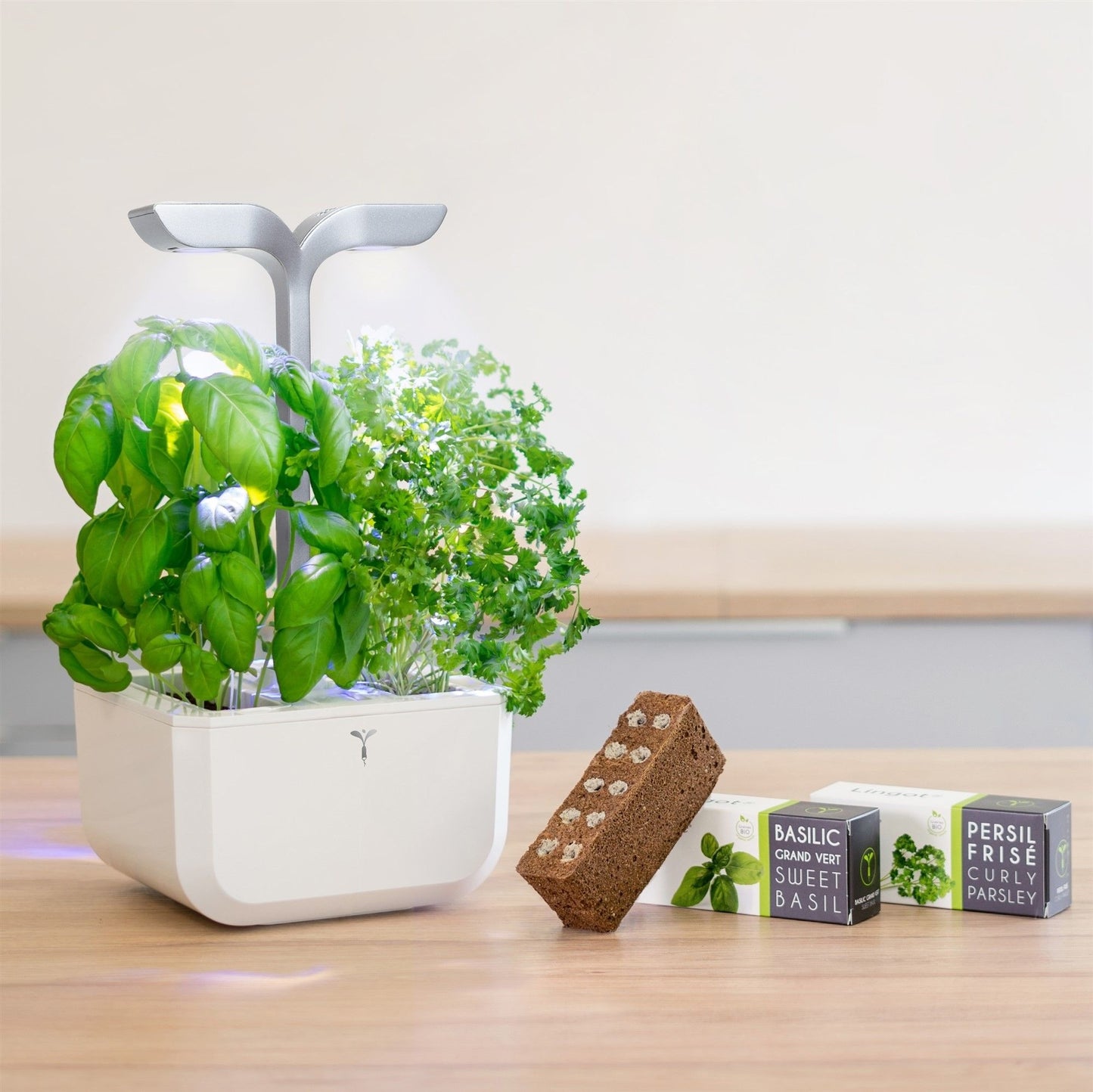 Véritable Exky SMART - arctic white