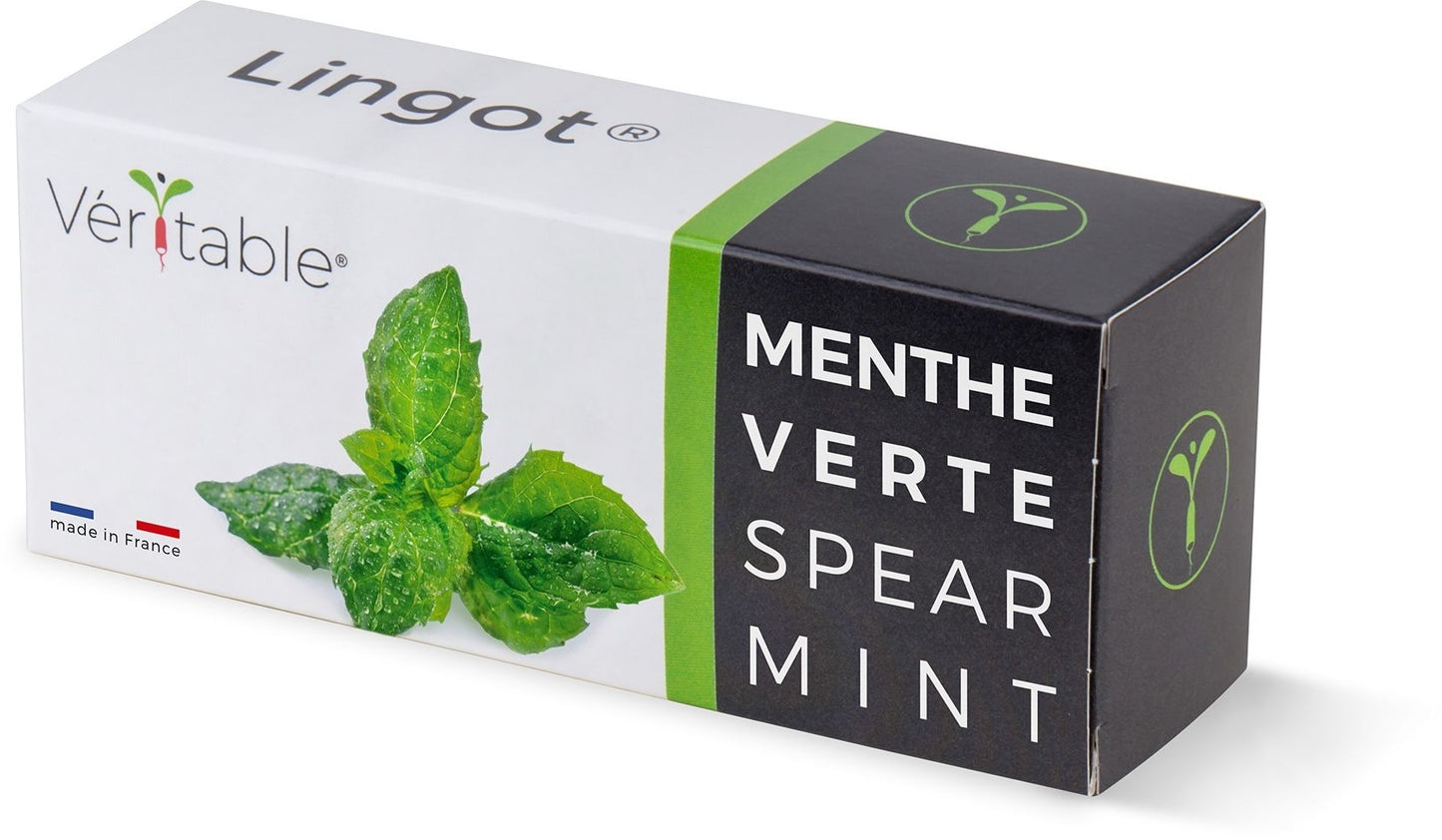 Véritable Lingot Spear Mint
