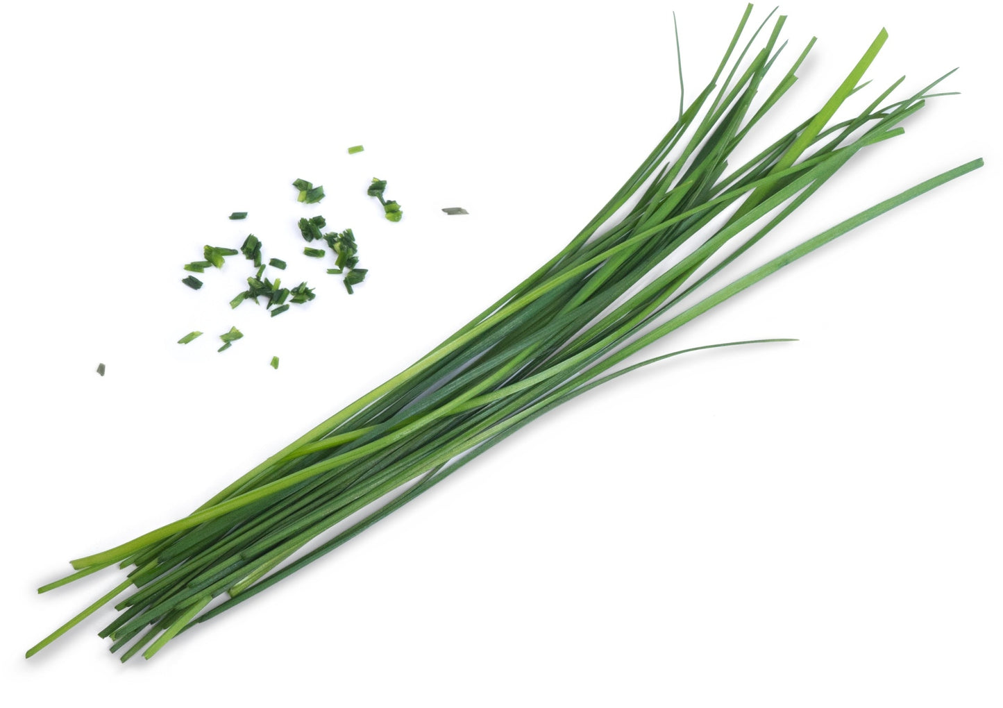 Véritable Lingot Chinese Chives - Organic
