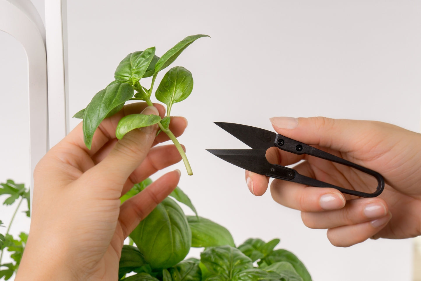 Véritable carbon steel mini-snips