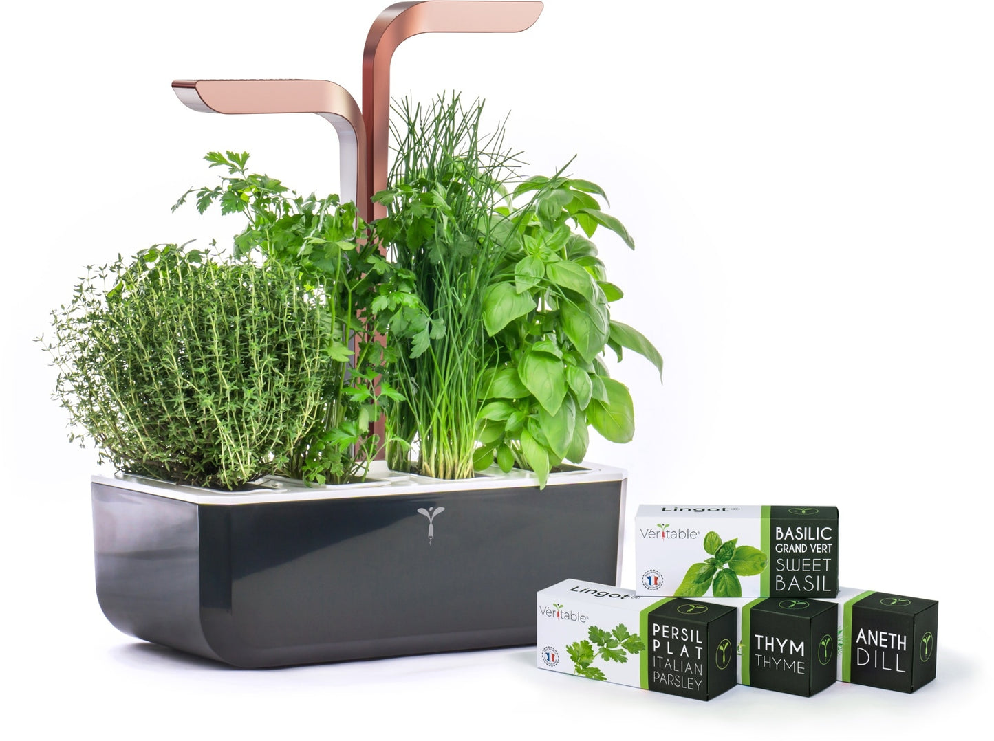 Véritable SMART - copper