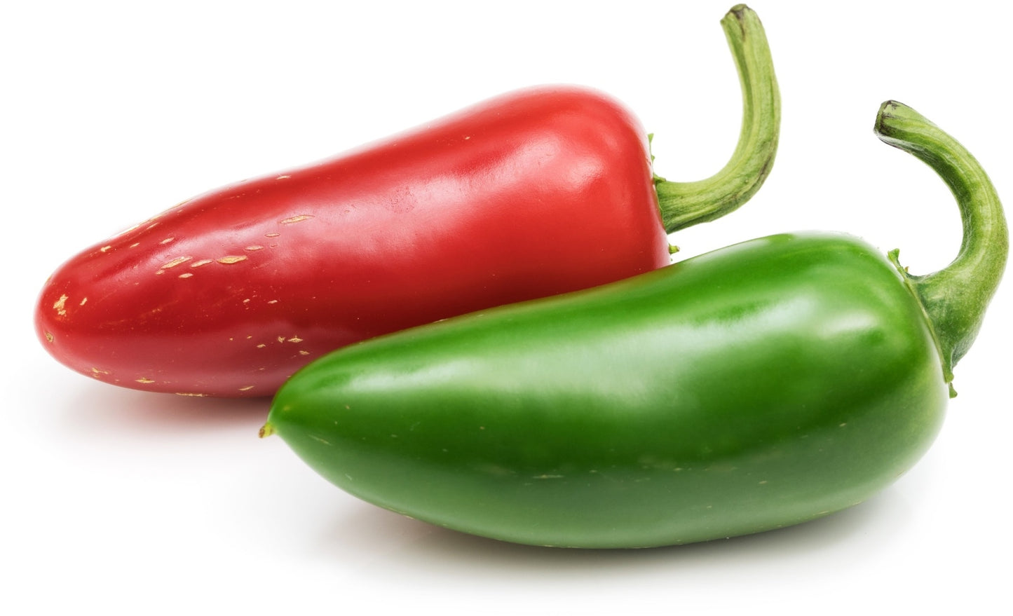 Véritable Lingot Jalapeño hot chili