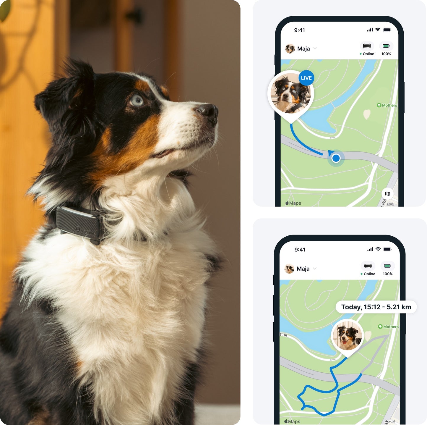 Tractive GPS DOG 6 - black