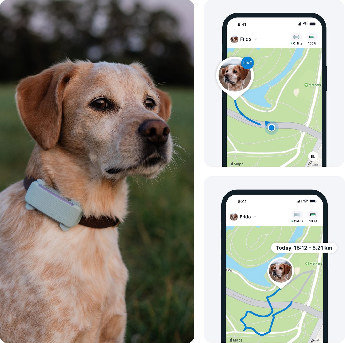 Tractive GPS DOG 6 - mint