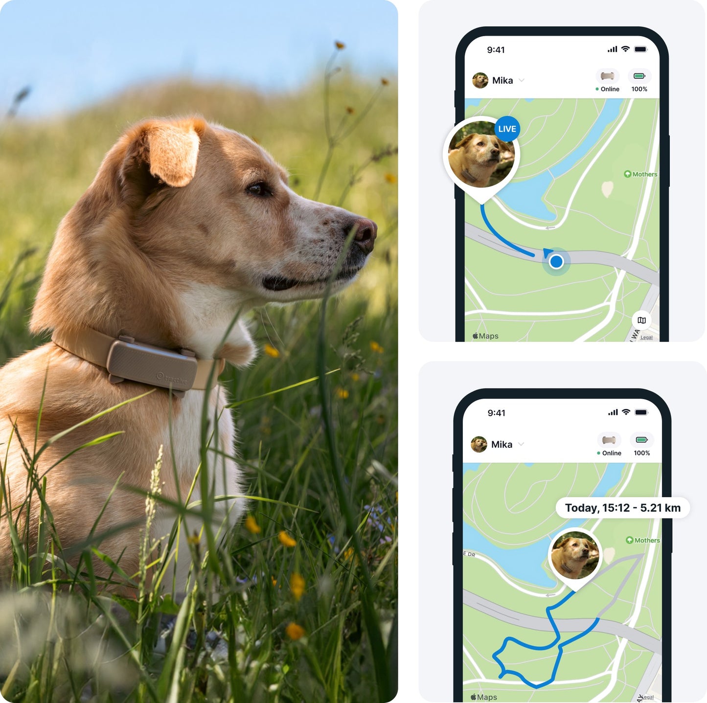Tractive GPS DOG 6 - brown