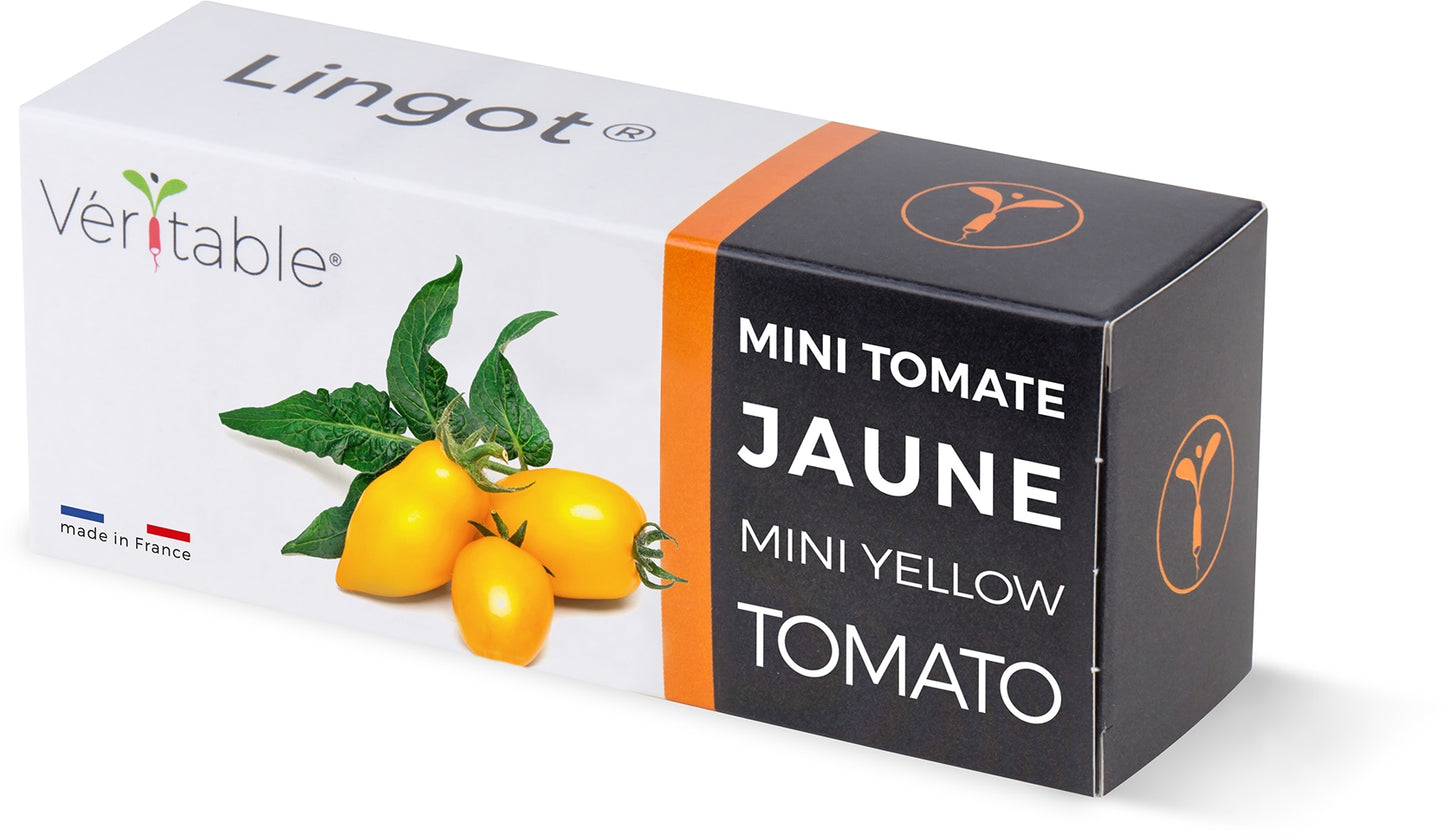 Véritable Lingot Yellow Mini-Tomato