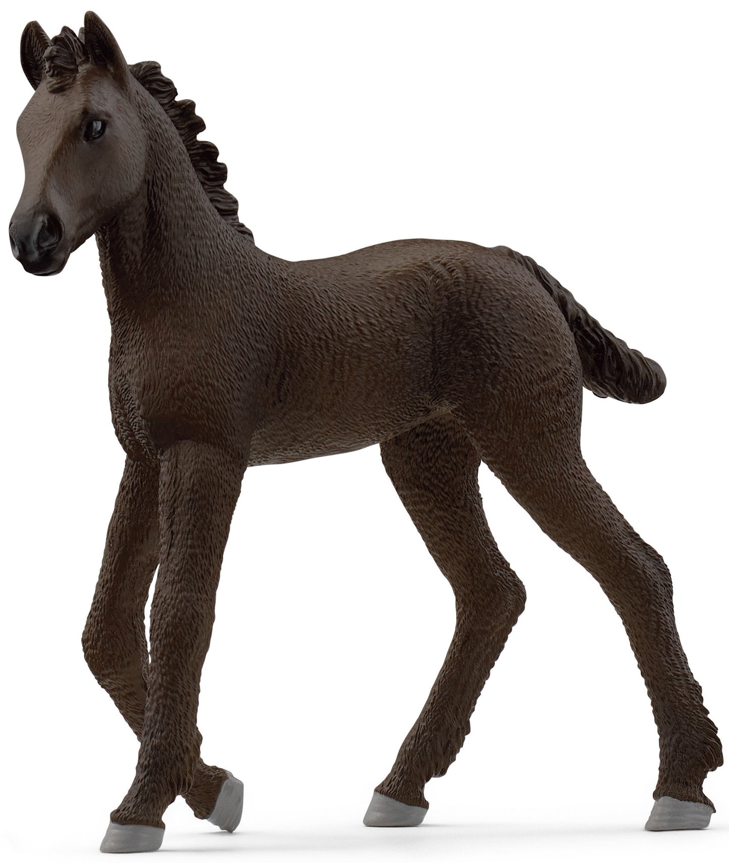 Horse Club: Friese Fohlen