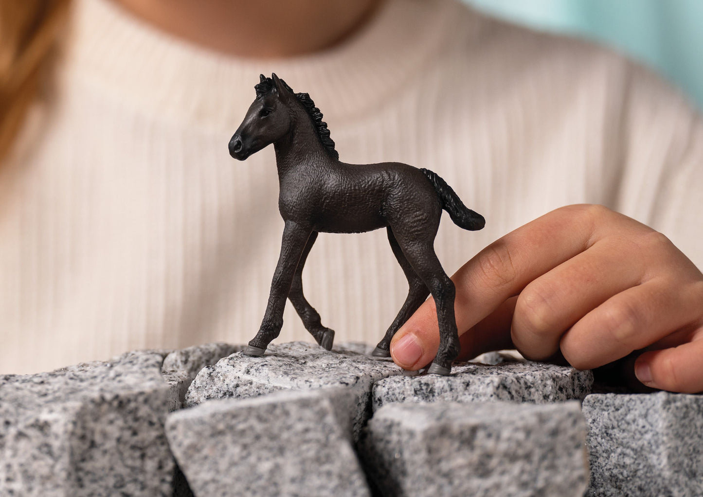 Horse Club: Friese Fohlen