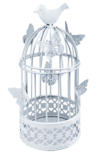 Deko Blumenkäfig weiss
aus Metall mit Schmetterlingen
Grösse D10cm H22.5cm