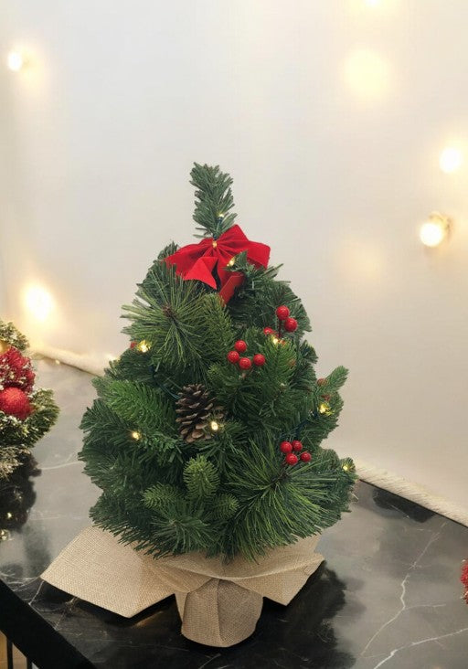 LED Weihnachtsbaum mit 15 LED
Lichterkette im Topf in Jute
gewickelt D:25cm H:50cm