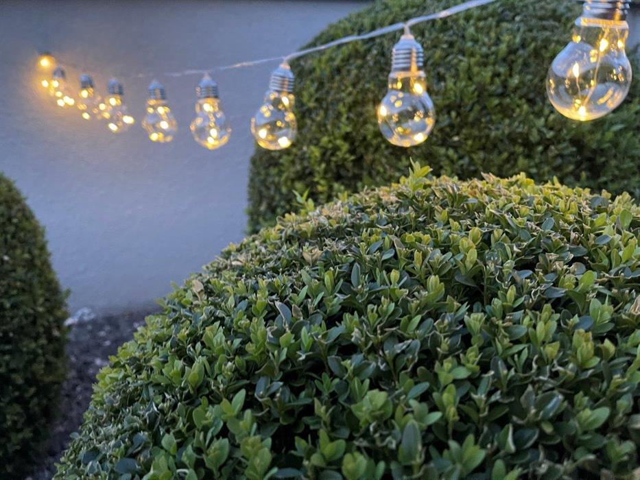 LED Lichterkette Outdoor
10 LED Glühbirnen transparent
Batterienbetrieben