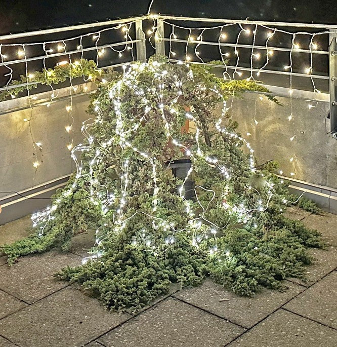 LED Outdoor Lichterkettenstrang
1440 LED, L: 300cm
silber Draht
Warm weiss Licht