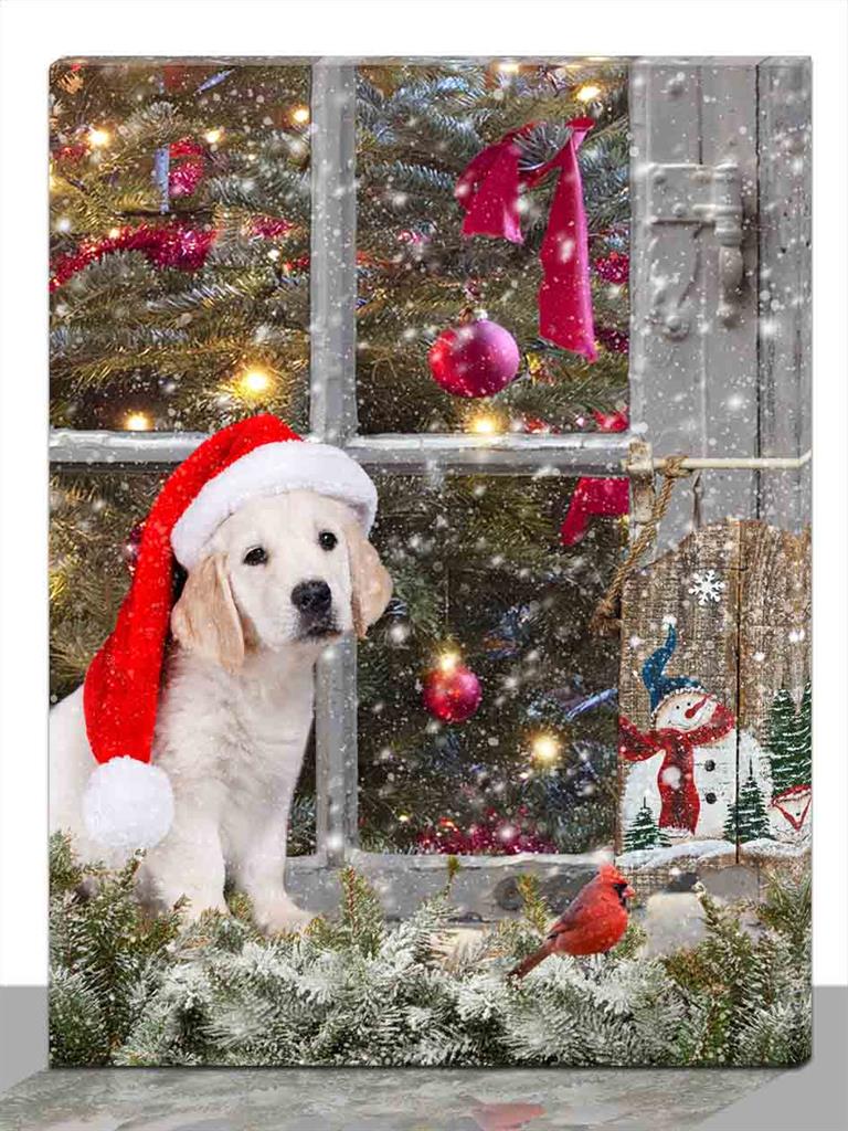 LED Bild aus Canvas Motiv: Hund am Fenster
4 LED