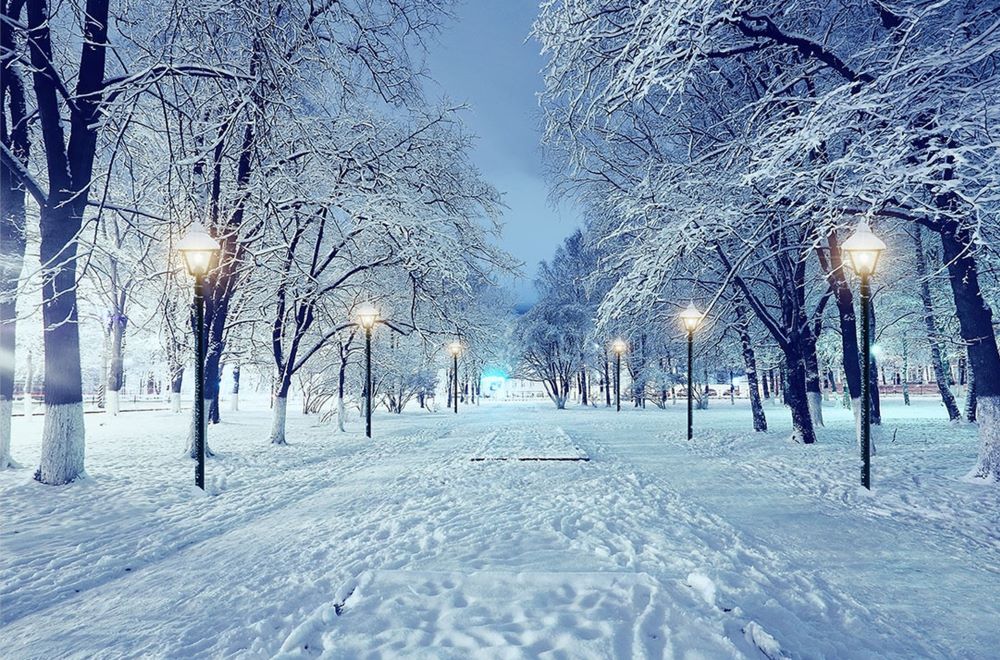 LED Bild aus Canvas 
Motive: Winterlandschaft Allee 
6 LED
L:1.8cm B:60cm H:40cm