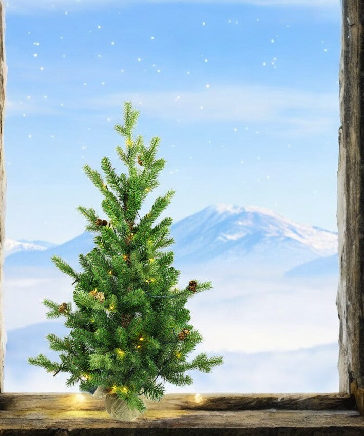 Sapin de Noël LED avec 50 LED
Guirlande lumineuse dans un pot en jute
enveloppé D:45cm H:90cm