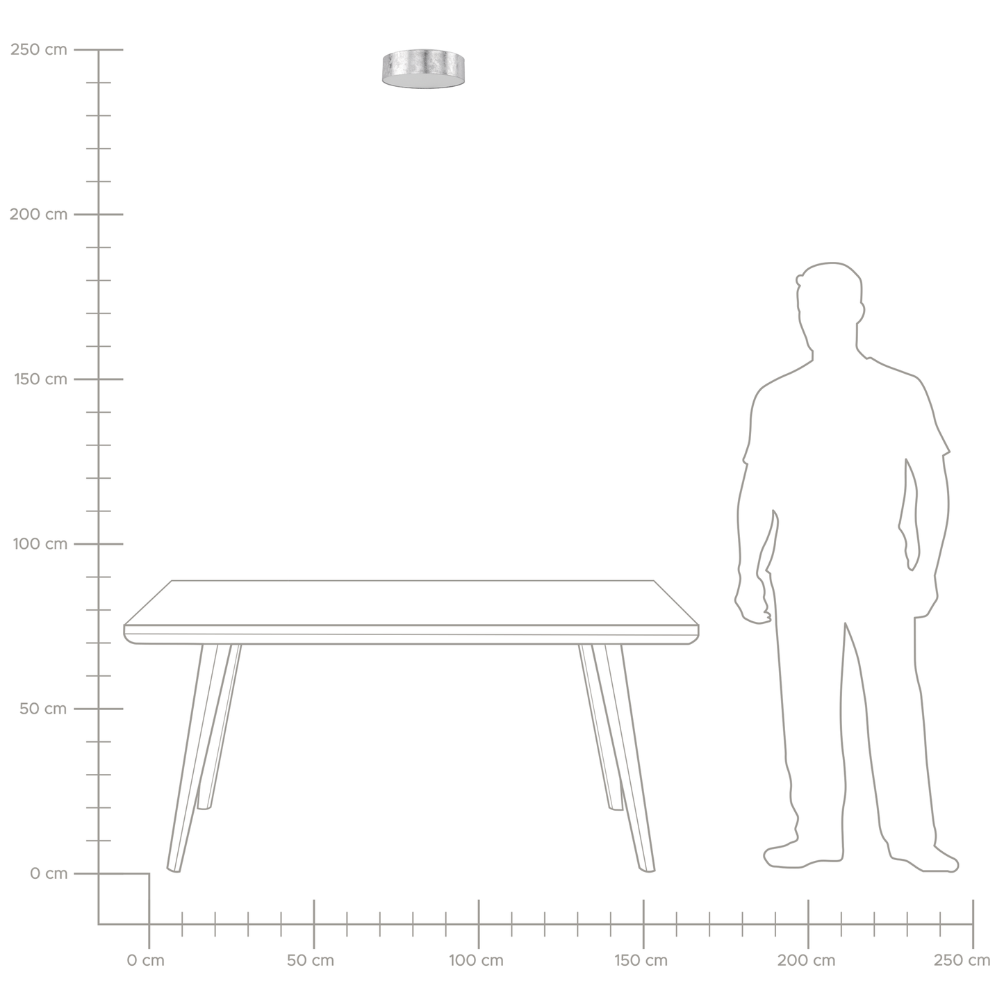 Deckenlampe RENA Silber