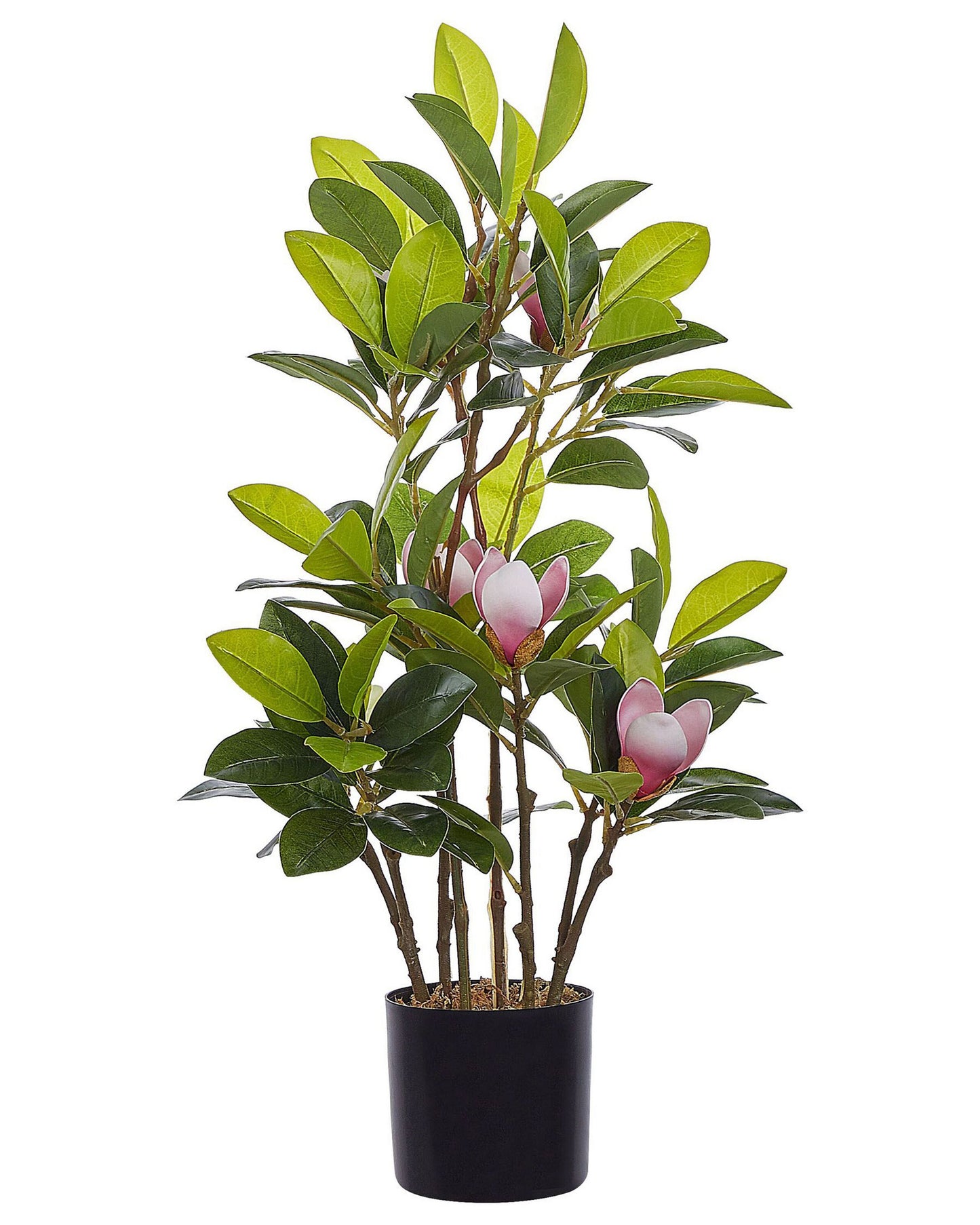 Kunstpflanze im Blumentopf 70 cm MAGNOLIA