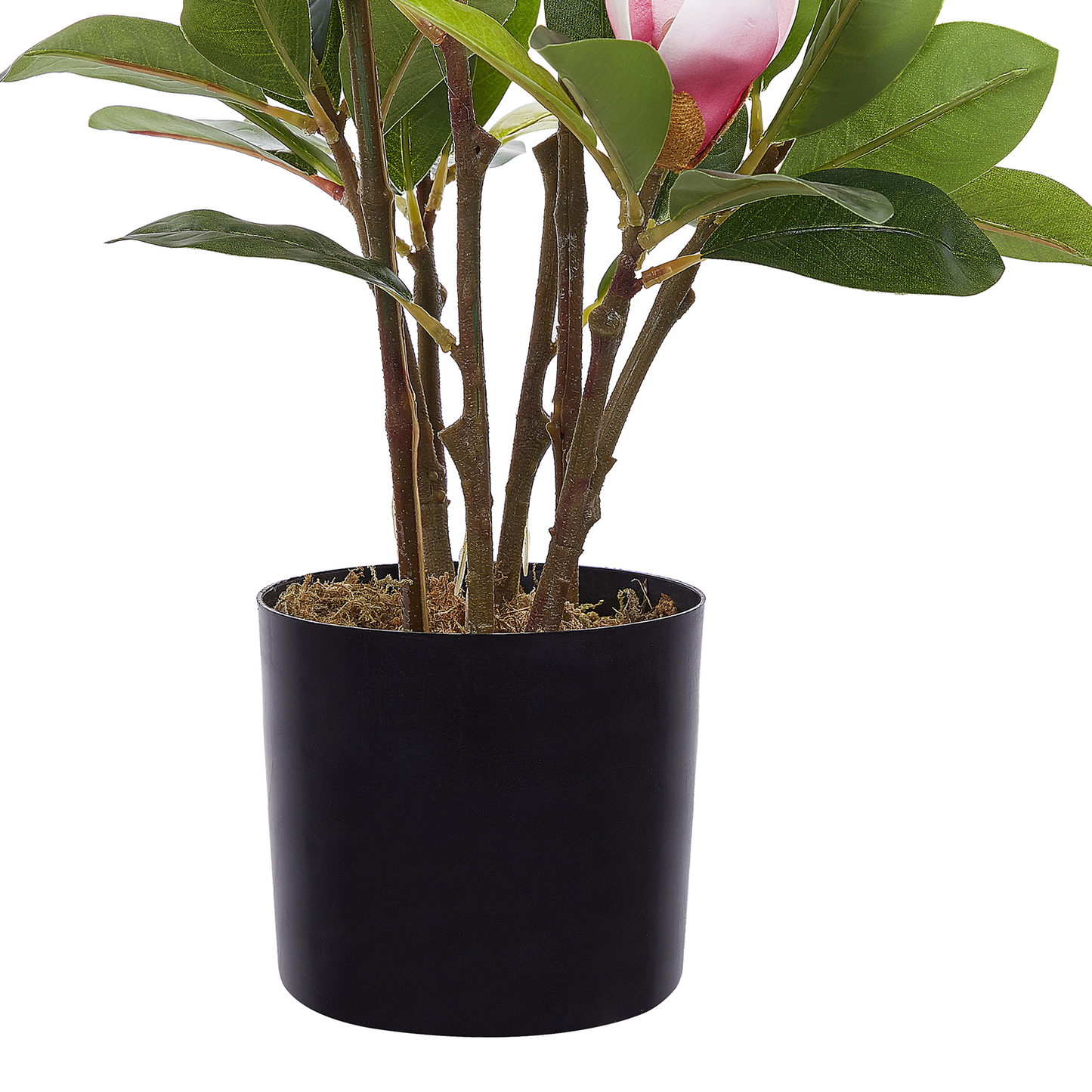 Kunstpflanze im Blumentopf 70 cm MAGNOLIA