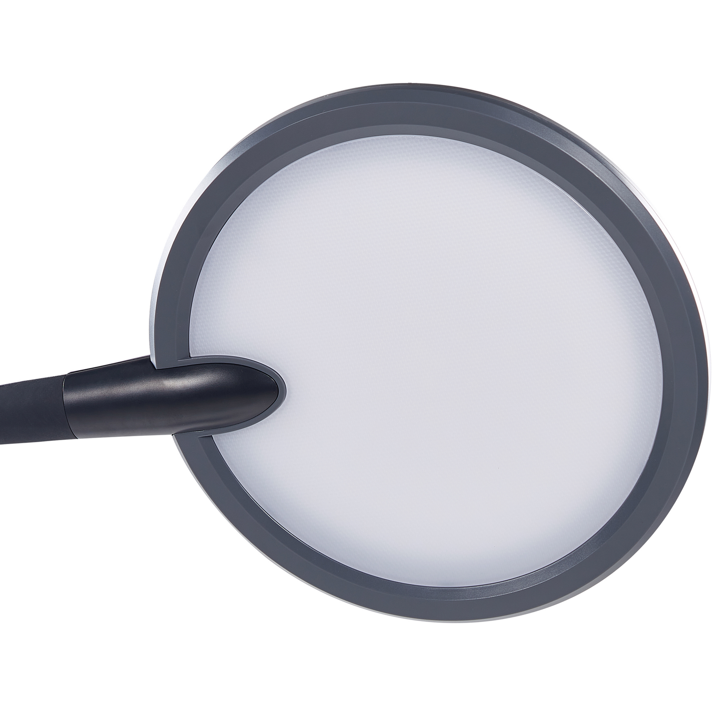 LED Stehlampe CASSIOPEIA mit Dimmer Metall Schwarz