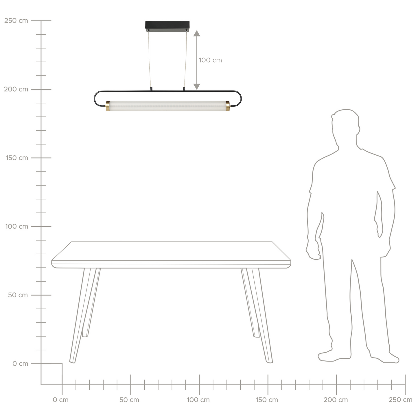 Hängelampe Metall schwarz integriertes LED-Licht HENRY