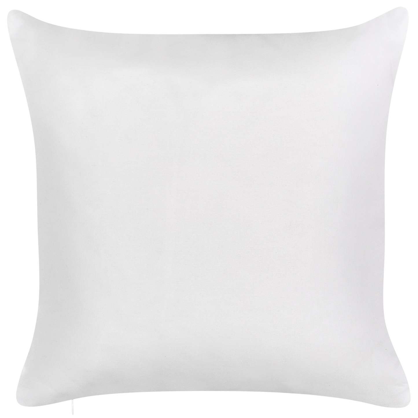 Gartenkissen 2er Set TORBORA Pflanzenmuster 45 x 45 cm Weiss Blau