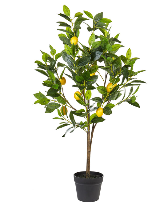 Kunstpflanze im Blumentopf 105 cm LEMON TREE