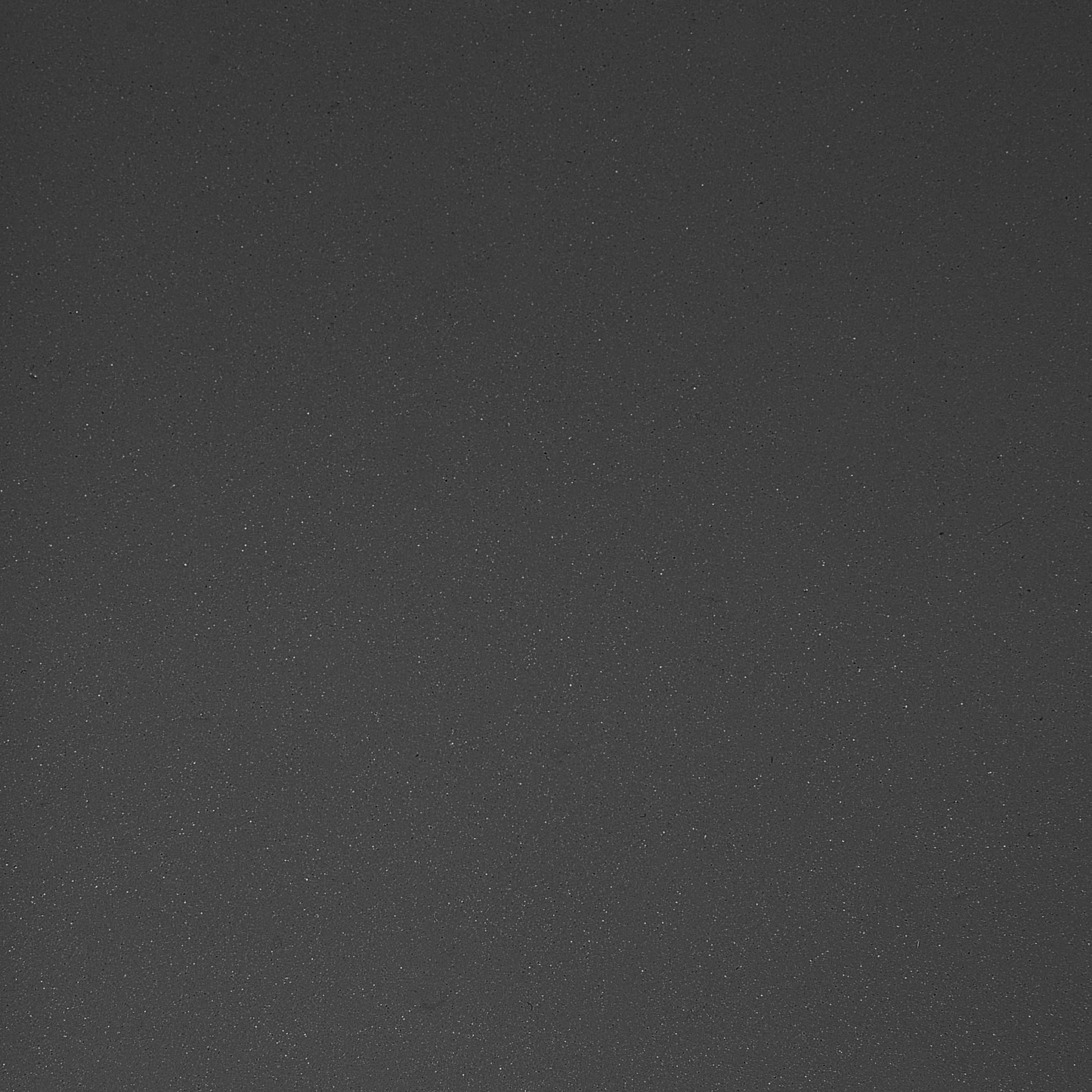 Pflanzenständer COTINUS Metall 20 cm Schwarz