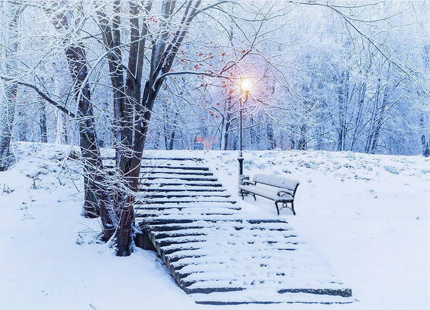 LED Bild aus Canvas
Motive: verschneiter Park
1 LED und 40 Fibre Optics