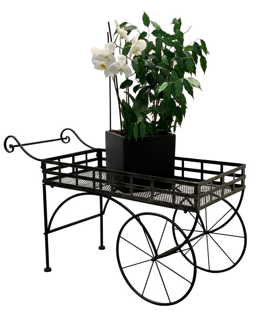 Pflanzenständer Wagenform aus Metall
Farbe: Anthrazit
L:99cm B:43cm H:58cm