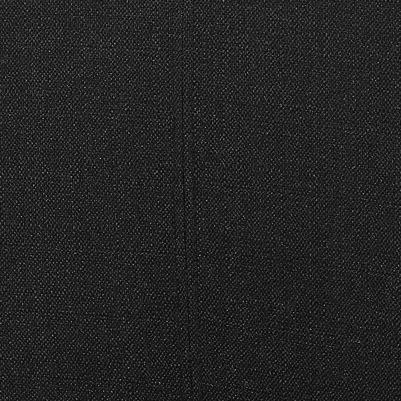 Esszimmerstuhl 2er Set CLAYTON Schwarz