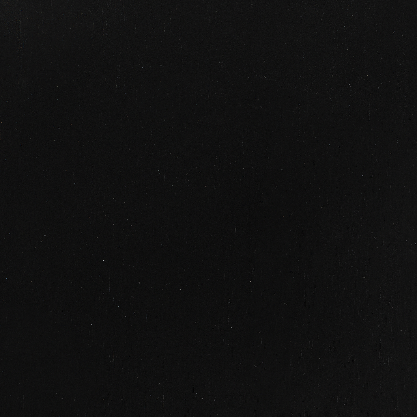 Esszimmerstuhl 2er Set BURBANK Holz Schwarz