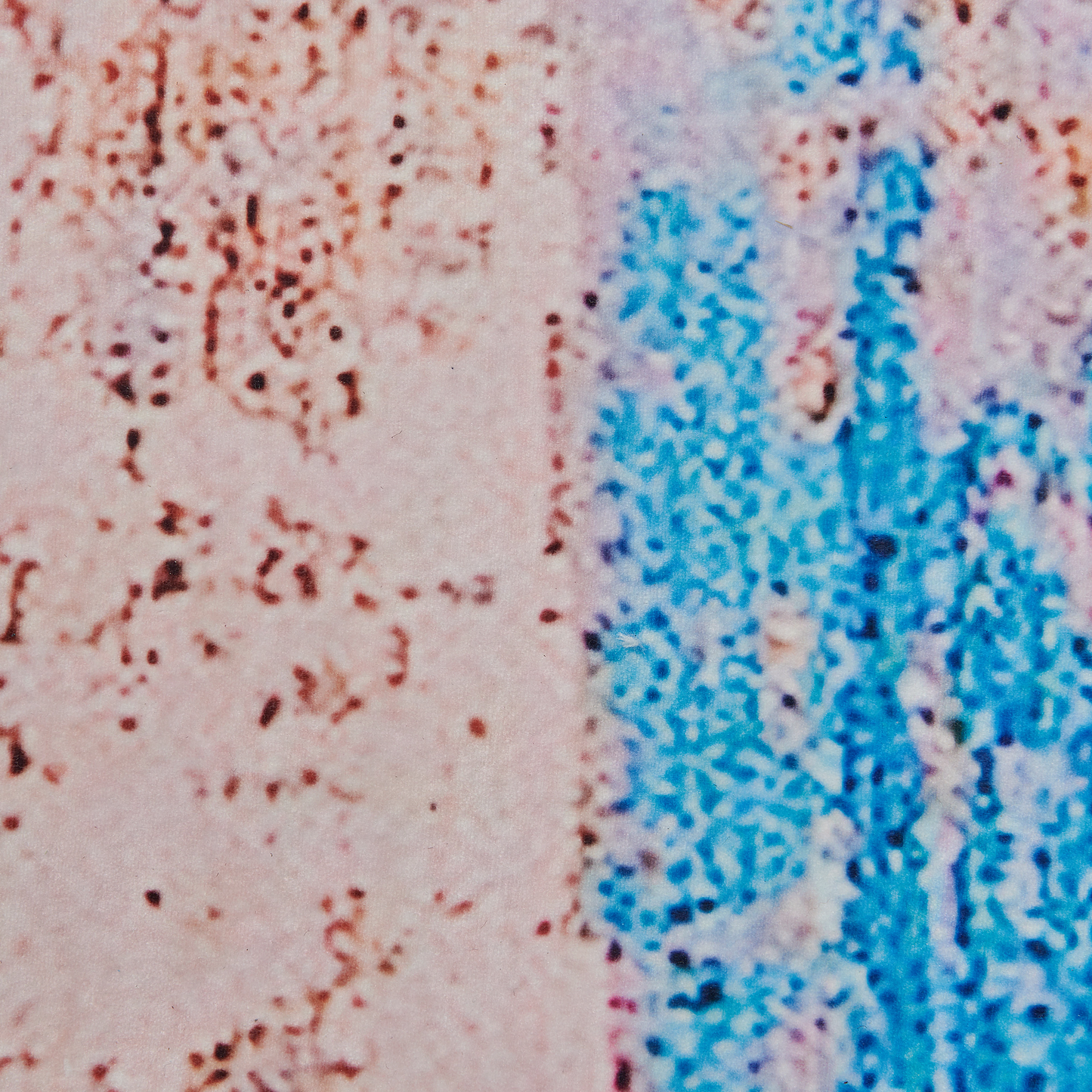 Teppich blau 80 x 150 cm Kurzflor INEGOL