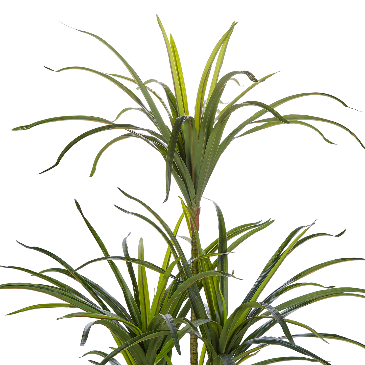Kunstpflanze im Blumentopf 147 cm DRACAENA ANITA