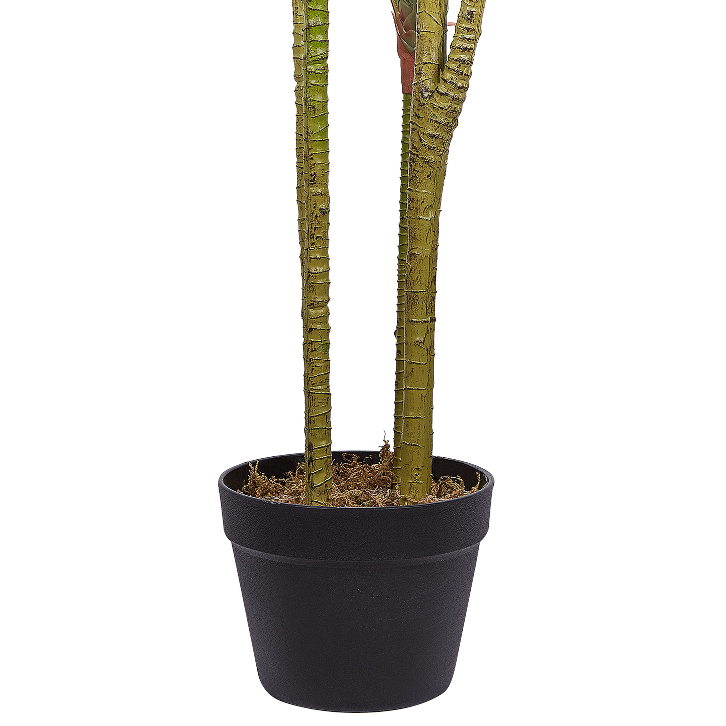 Kunstpflanze im Blumentopf 147 cm DRACAENA ANITA
