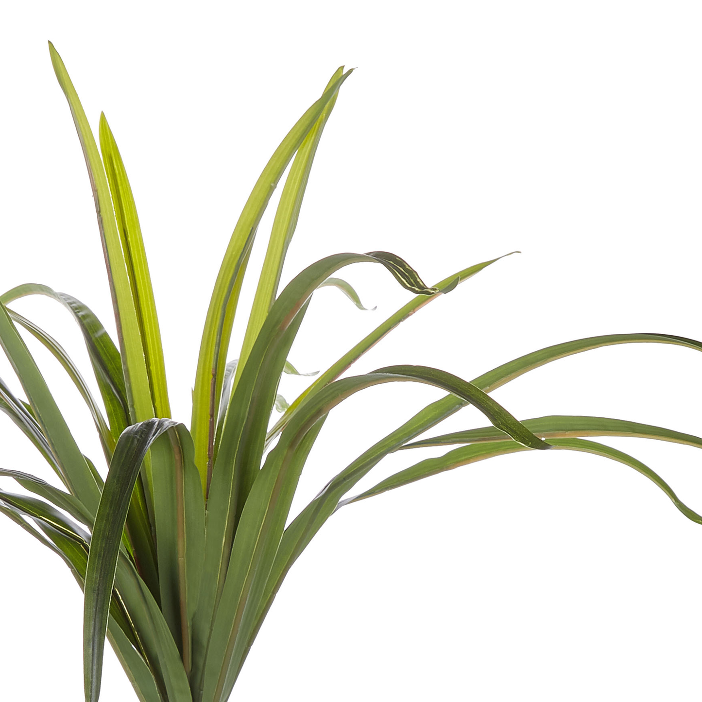 Kunstpflanze im Blumentopf 147 cm DRACAENA ANITA