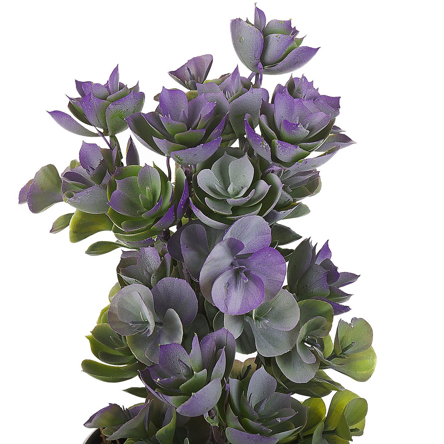 Kunstpflanze im Blumentopf 31 cm HOUSELEEK PLANT