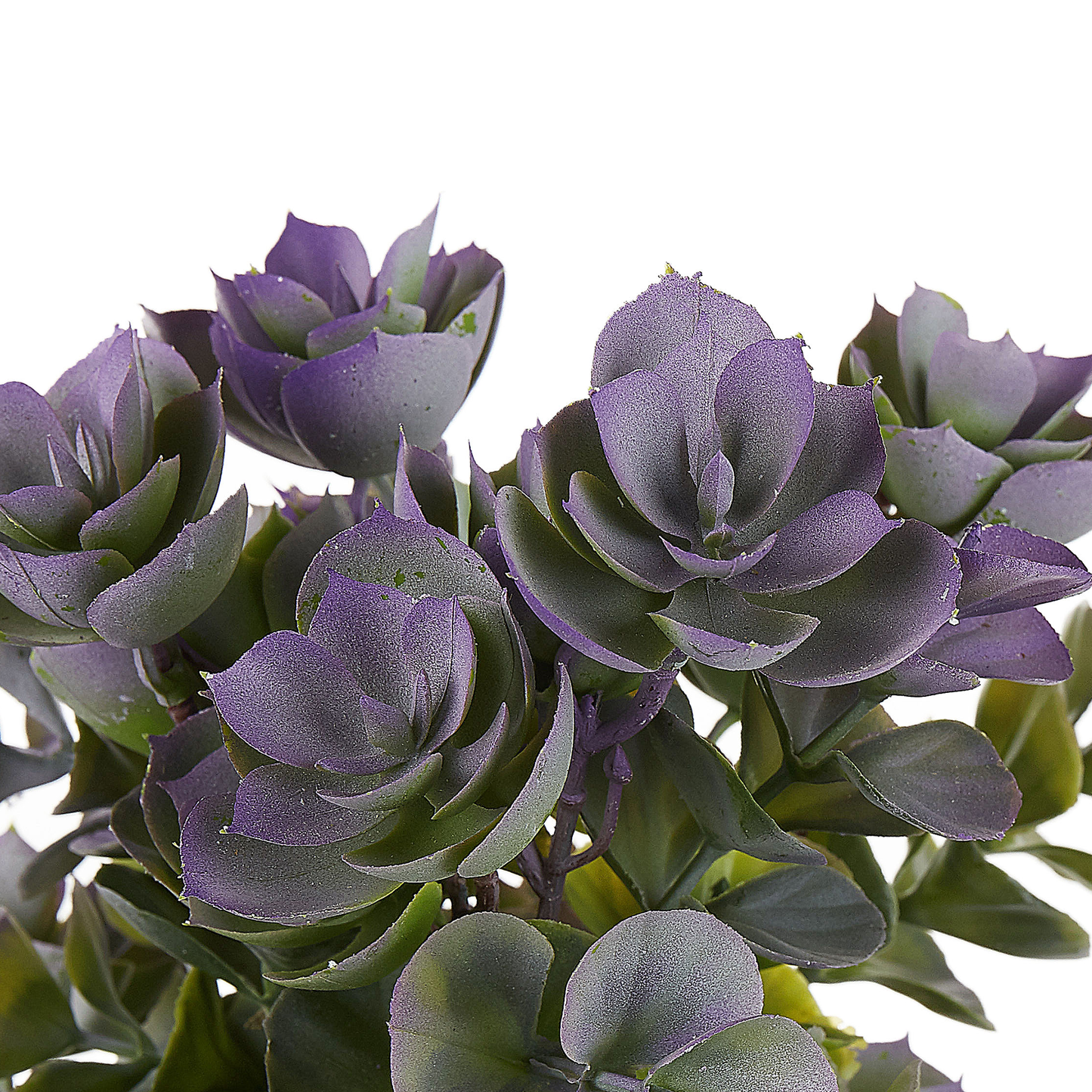 Kunstpflanze im Blumentopf 31 cm HOUSELEEK PLANT