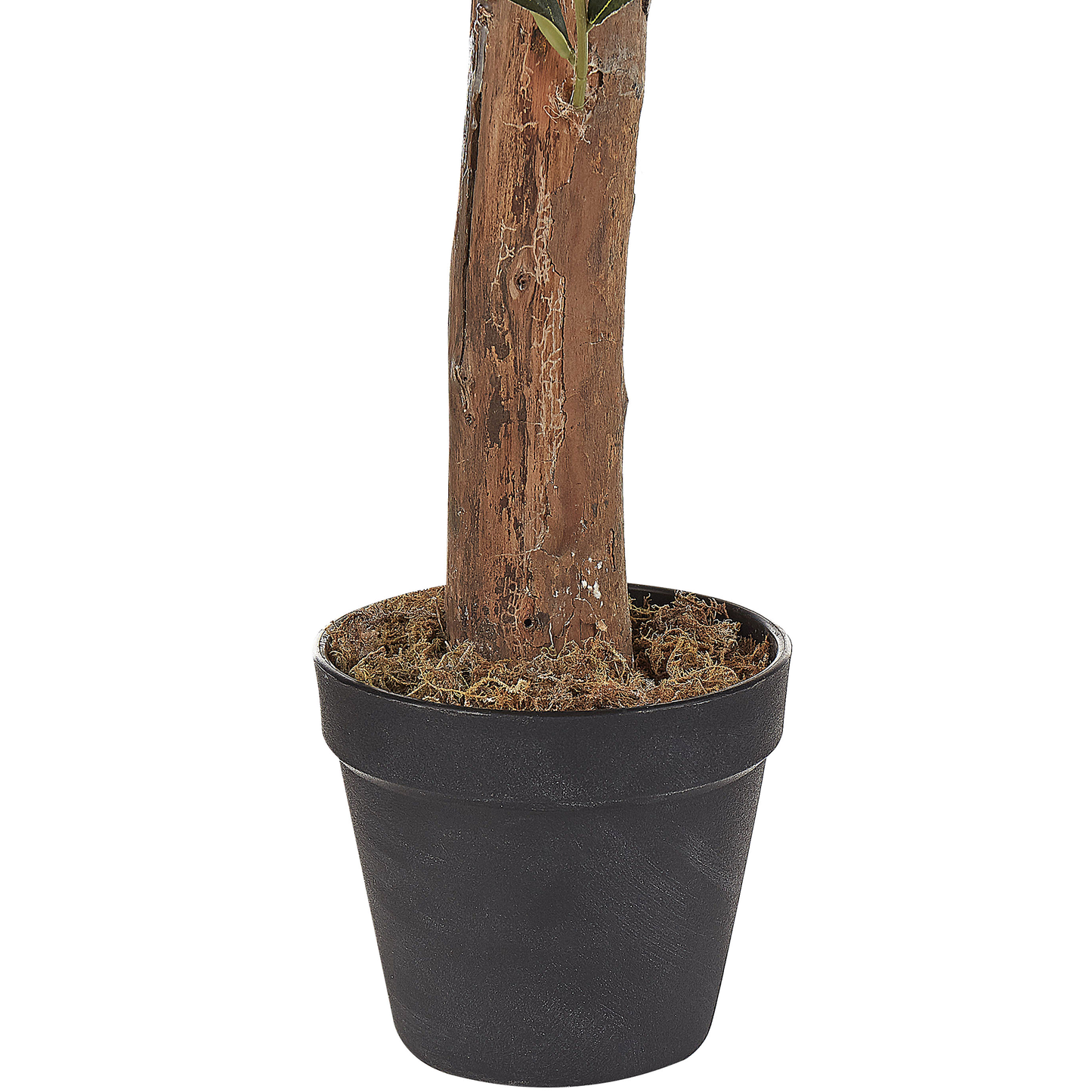 Kunstpflanze im Blumentopf 77 cm OLIVE TREE