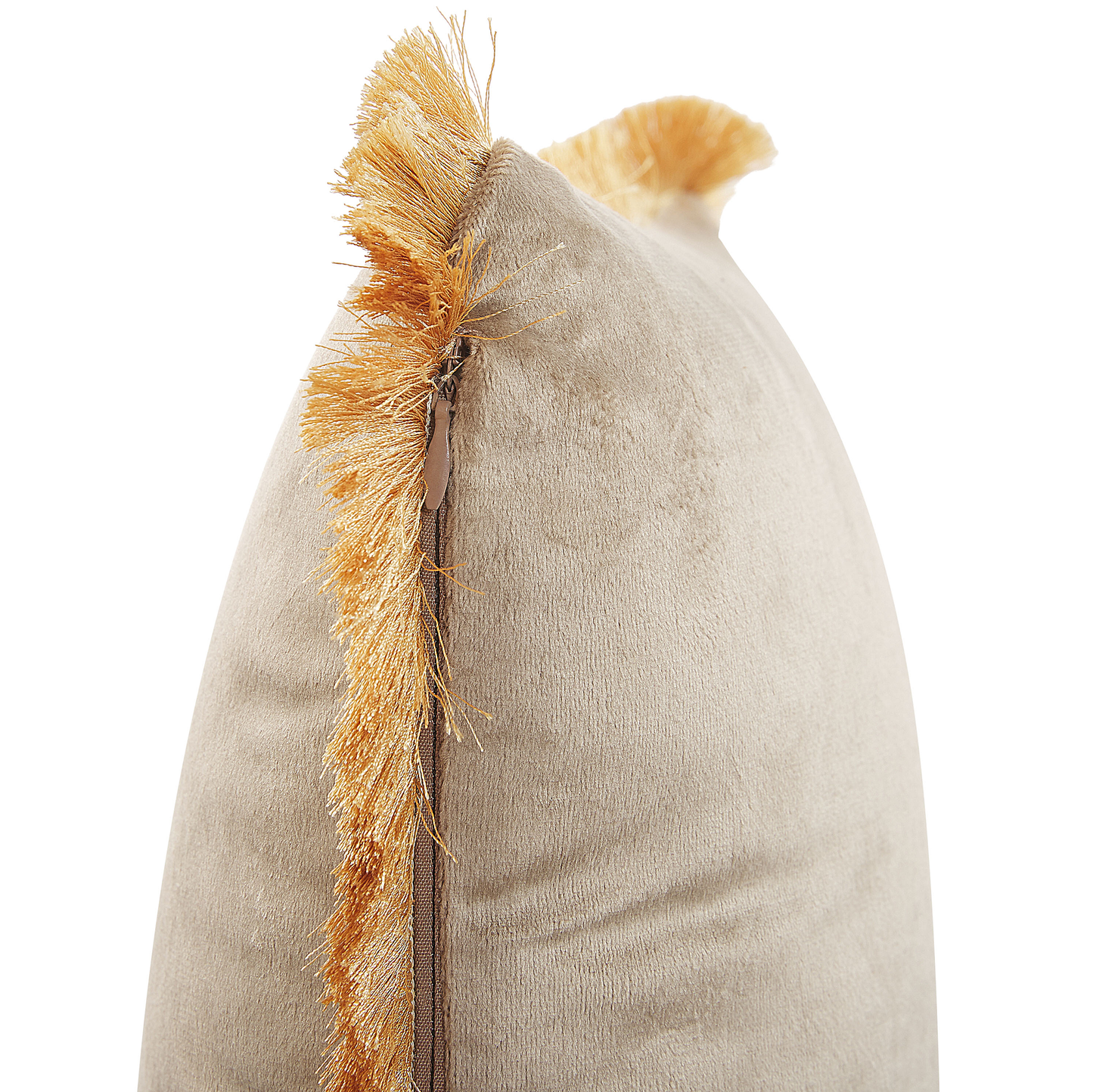 Dekokissen 2er Set POTHOS Samtstoff 45 x 45 cm Beige Ohne Muster