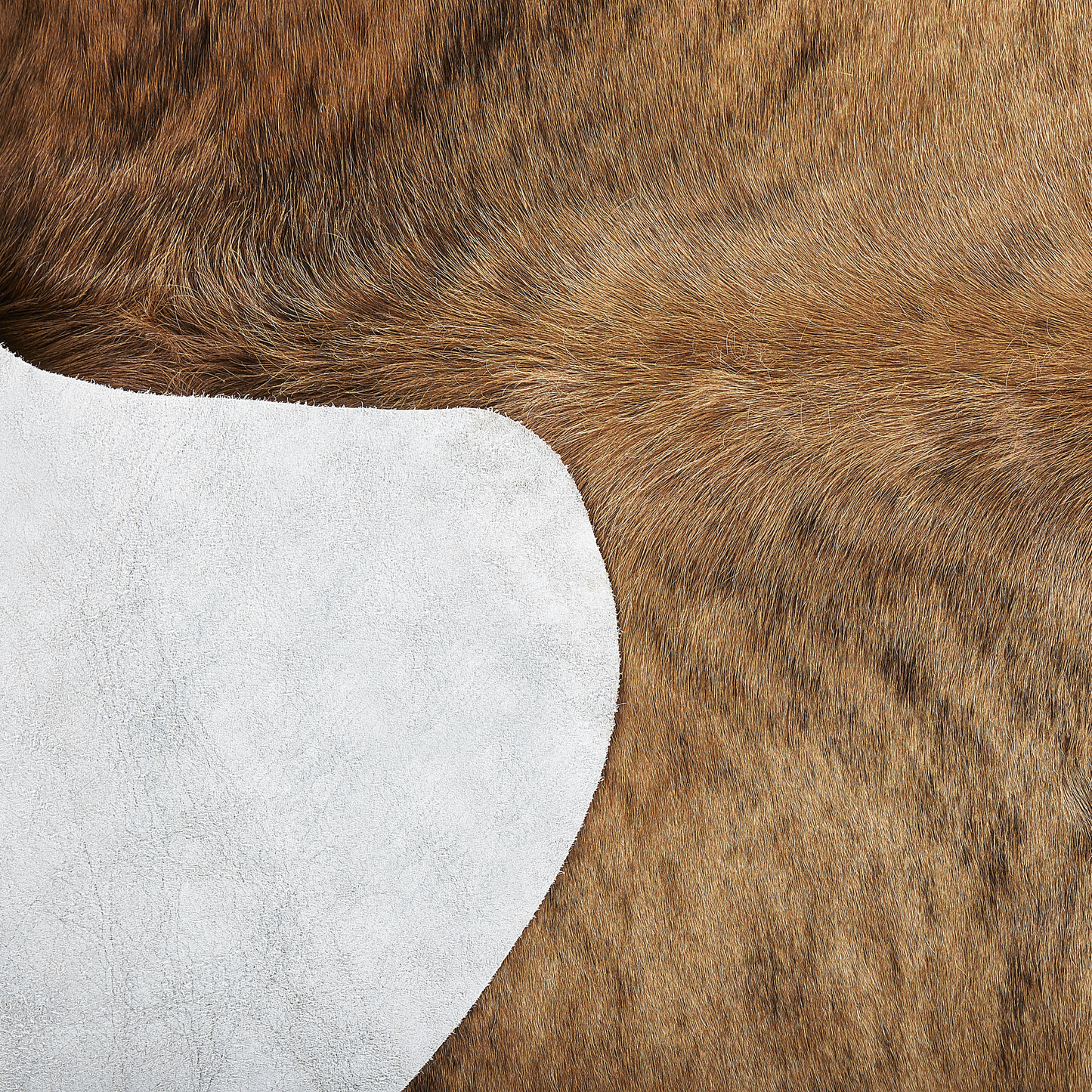 Kuhfell Teppich Echtleder hellbraun 2-3 m² NASQU