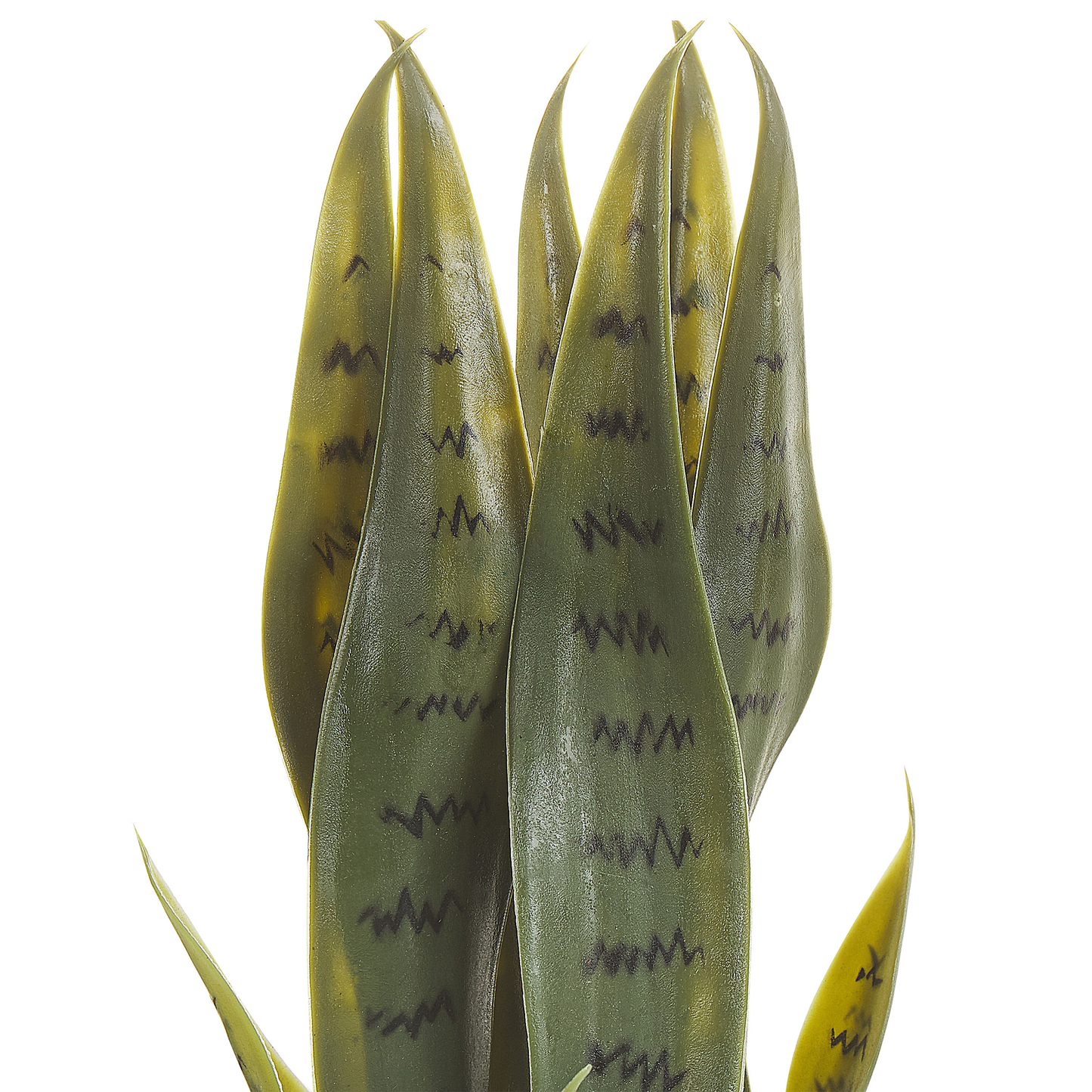 Kunstpflanze im Blumentopf 40 cm SNAKE PLANT