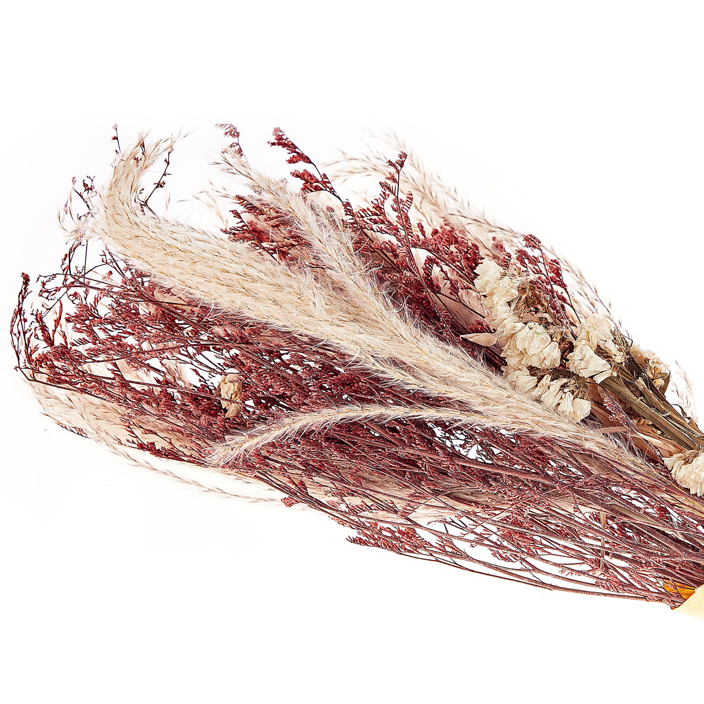 Trockenblumen rosa / naturfarben 50 cm ZAMORA