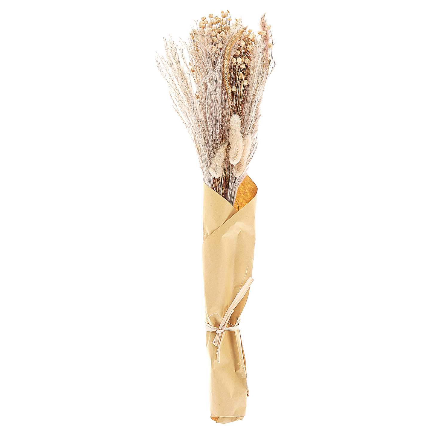 Trockenblumen naturfarben 52 cm CABRA