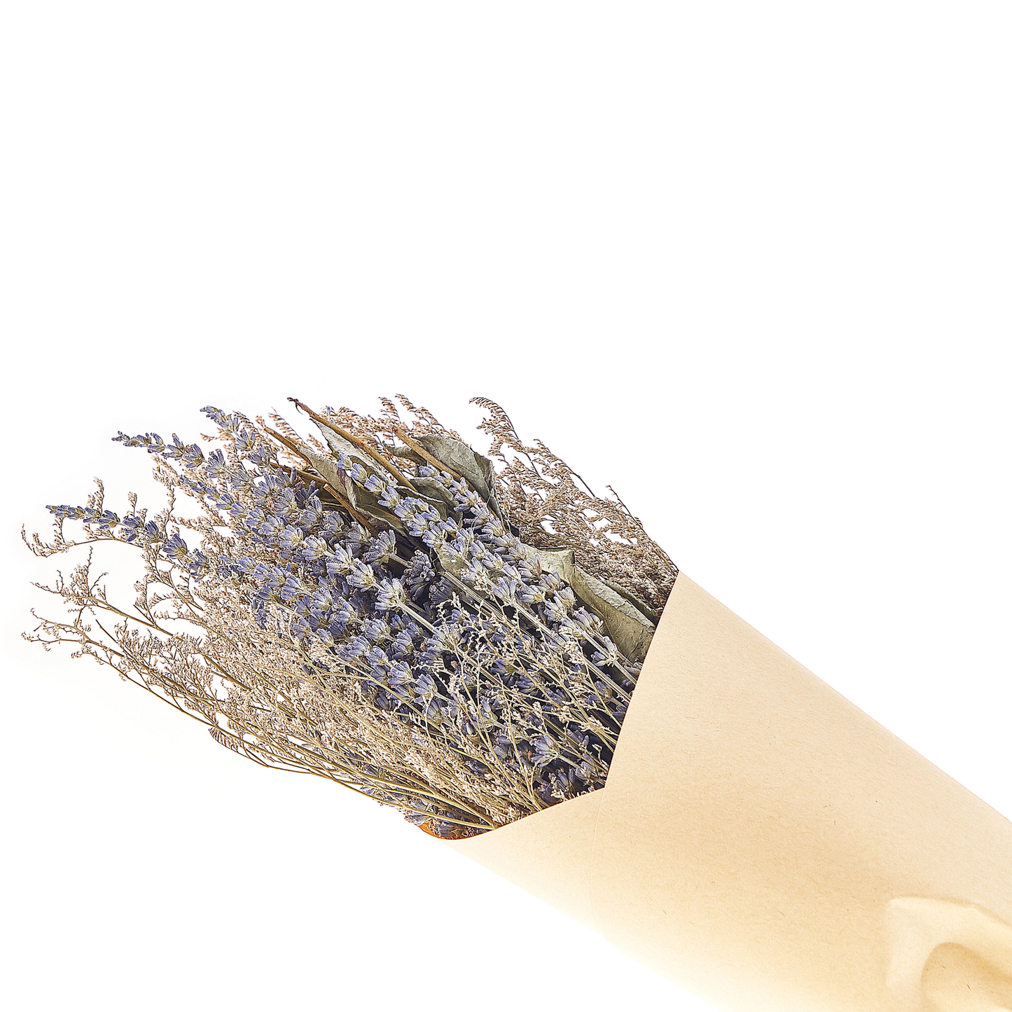 Trockenblumen violett / grün 70 cm NAWARRA