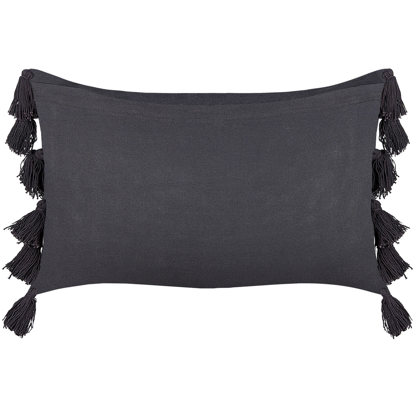 Dekokissen LYTHRUM Baumwolle 55 x 35 cm Schwarz Ohne Muster