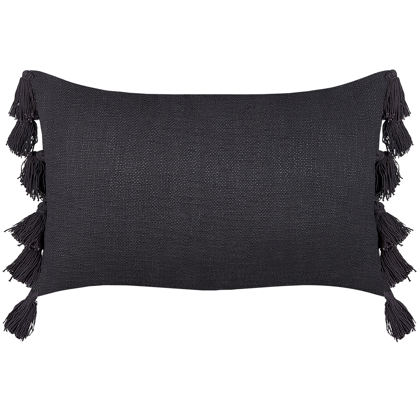 Dekokissen 2er Set LYTHRUM Baumwolle 45 x 45 cm Schwarz Ohne Muster