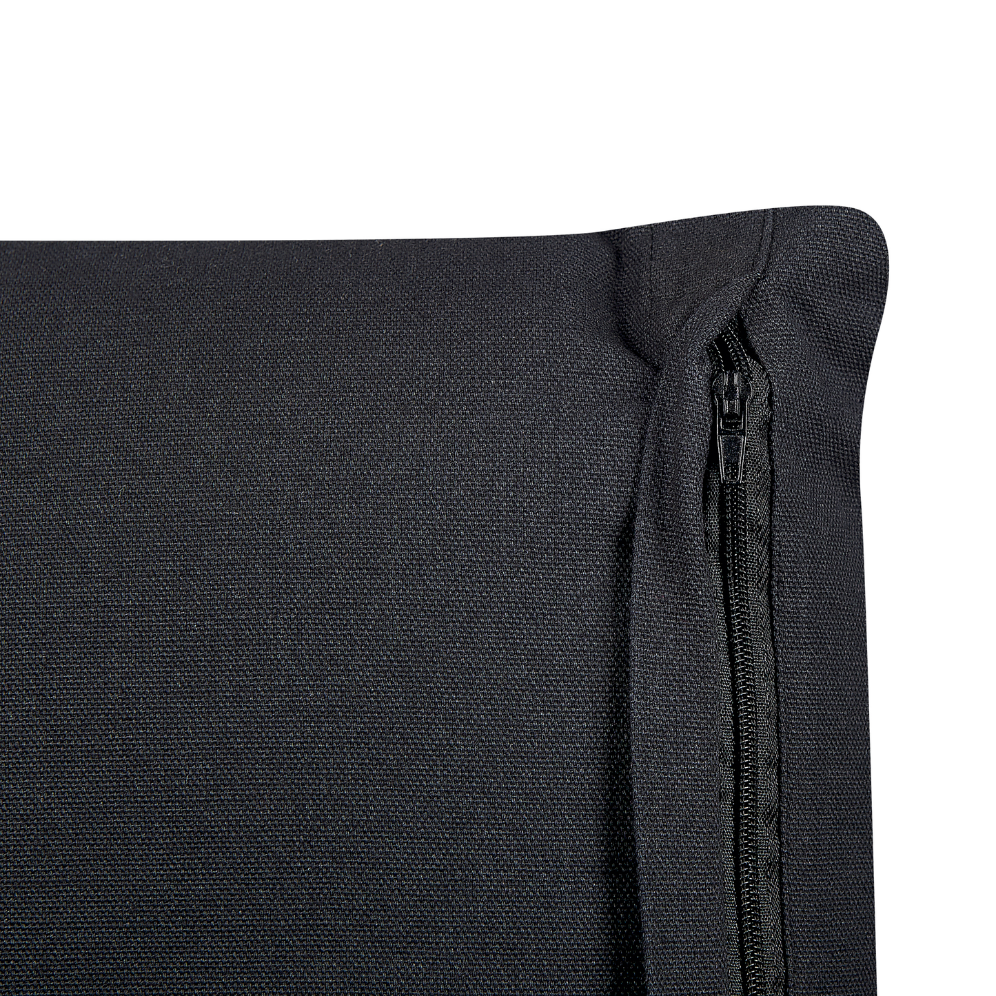 Dekokissen 2er Set OSMUNDA Samtstoff 45 x 45 cm Schwarz Blumenmuster