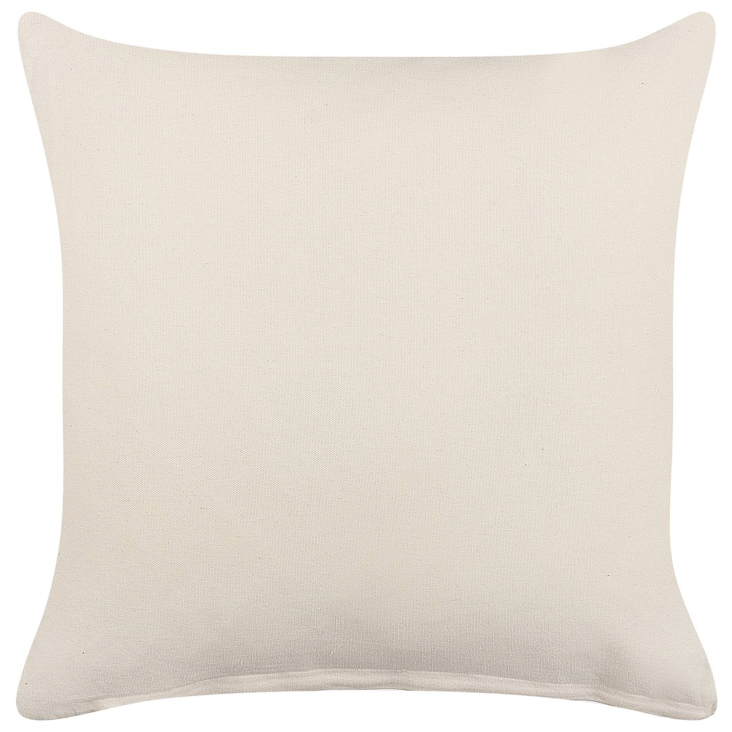 Kissen 2er Set Baumwolle Beige CALANTHE 45 x 45 cm