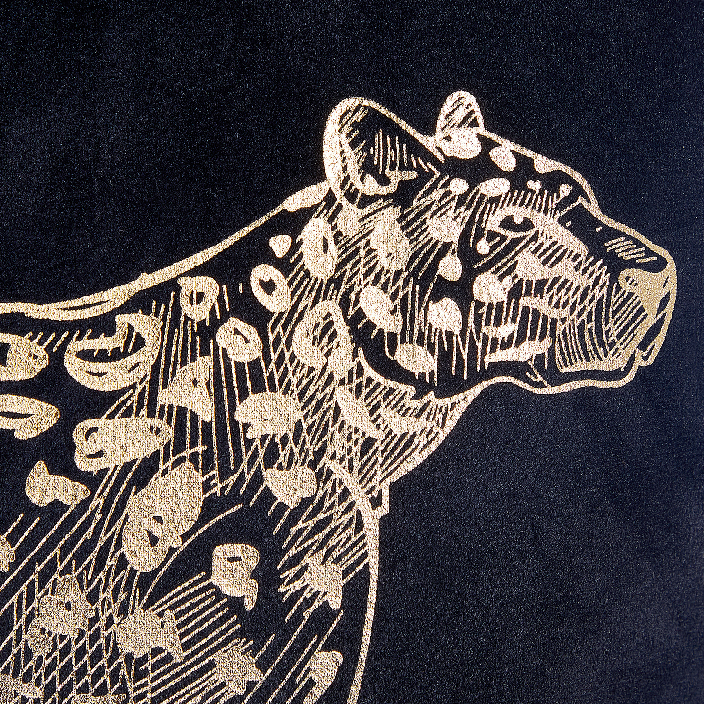 Dekokissen 2er Set MARULA Samtstoff 45 x 45 cm Schwarz Tiermuster